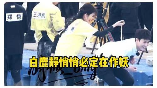 日语视频翻译播放器大揭秘:如何选择与使用?