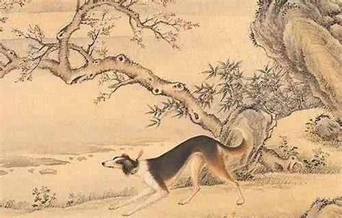 一览无余:与朱元思书翻译视频的视觉盛宴