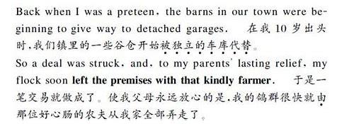 翻译机构 视频翻译的汇总