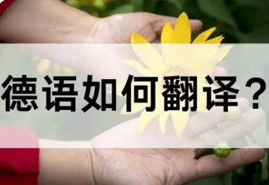 图片翻译德语2.png 图片翻译德语2.png